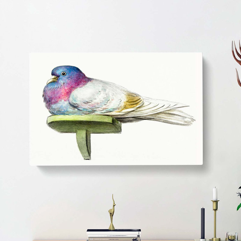 Pigeon by Jean Bernard - Wrapped Canvas, 40cm H x 60cm W x 3cm D