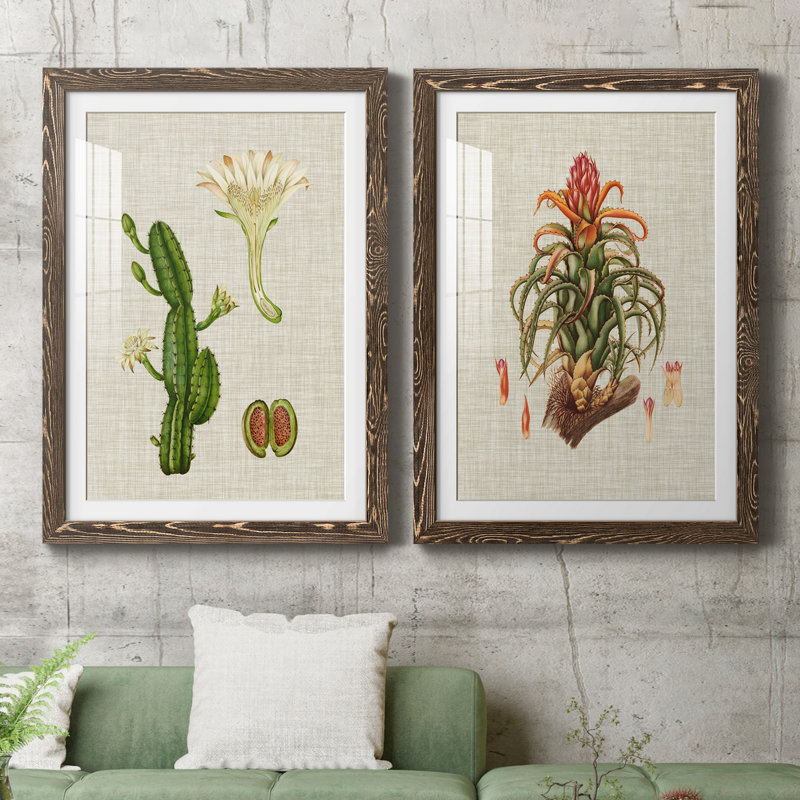 Elegant Tropicals III - impression d'art graphique, Papier, cadre noyer, H 37,5 po x l 55 po x P 1,5 po, Blanc
