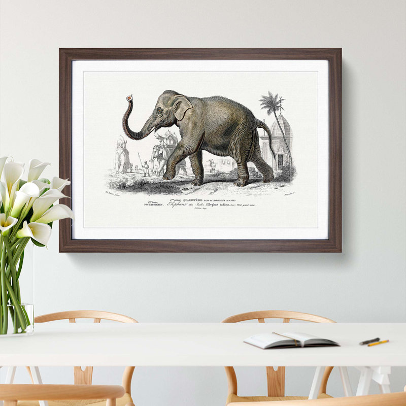 Asian Elephant by Charles D' Orbigny - Single Picture Frame Painting, 45cm H x 63cm W x 2cm D, Walnut