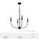 Hunter 26 Inch Southcrest 4 Light Chandelier Ceiling Light Fixture
