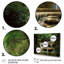 «Waterfall In Dense Forest I», reproduction sur toile-88556914-88556915