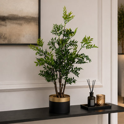Eucalyptus Arrangement in Pot