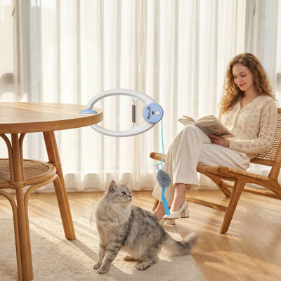 Hybrid Feeder/Toy