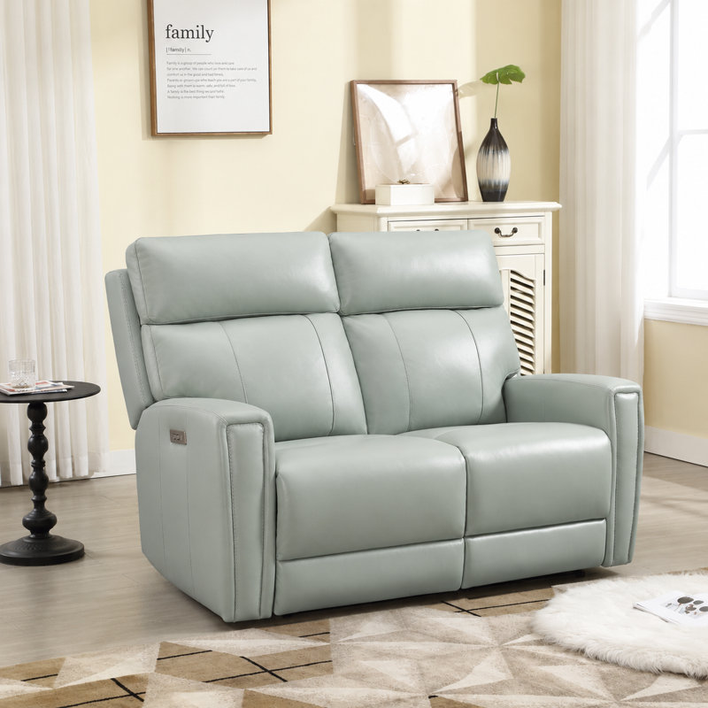 Causeuse inclinable en cuir double gravité avec port USB-C, Vert