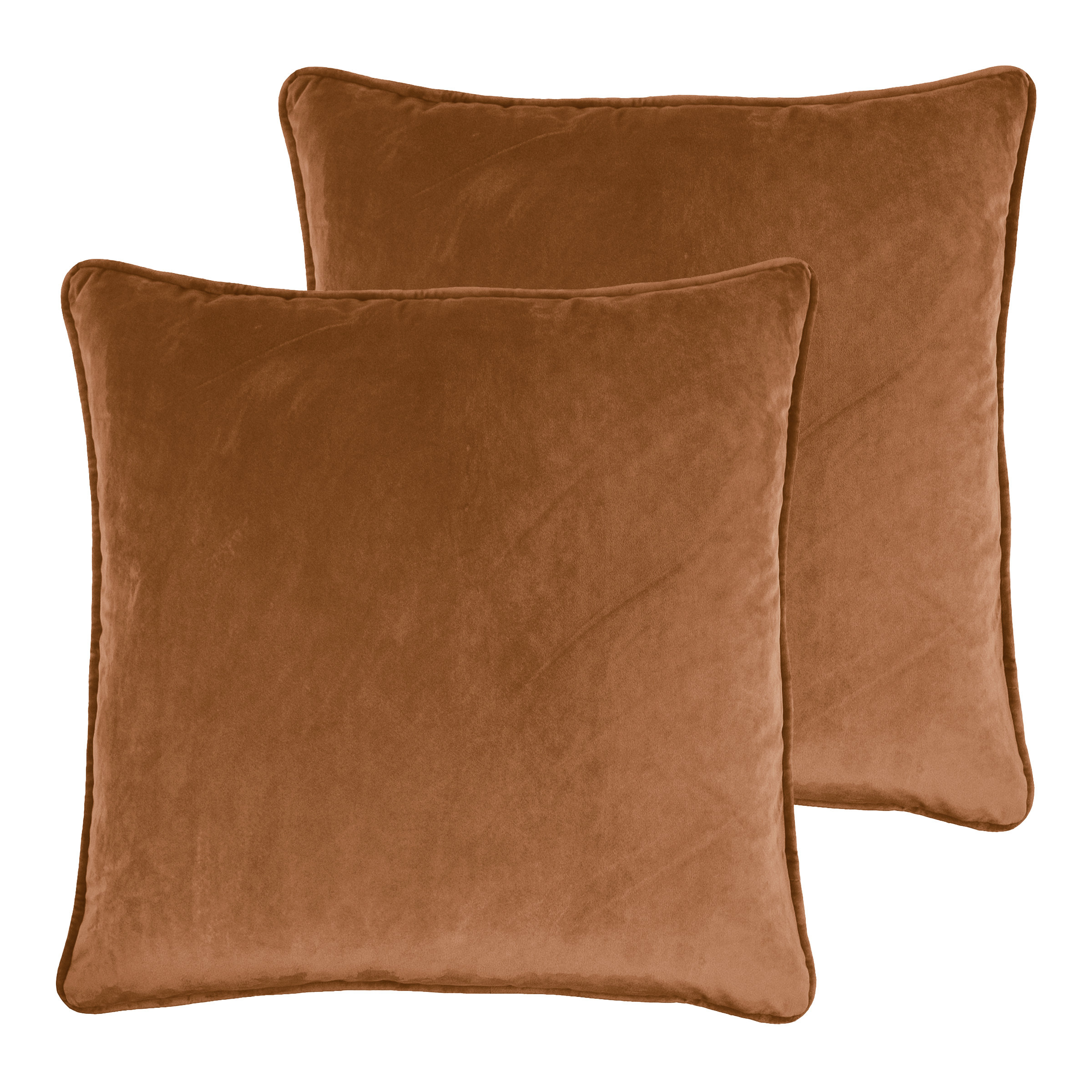 https://assets.wfcdn.com/im/57689510/compr-r85/2231/223160277/goodall-velvet-throw-pillow.jpg