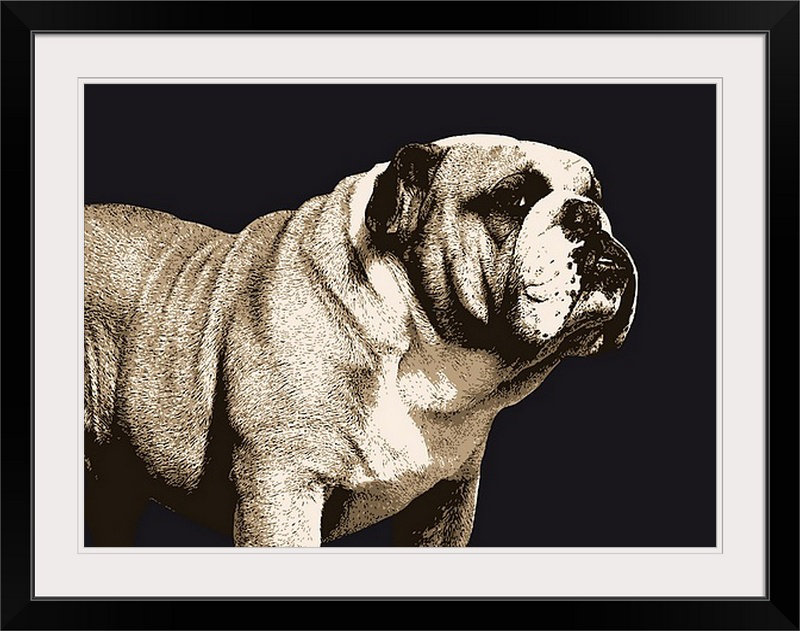 «Bulldog Spirit» par Francy, impression, H 26 po x l 36 po x P 1,5 po, Toile