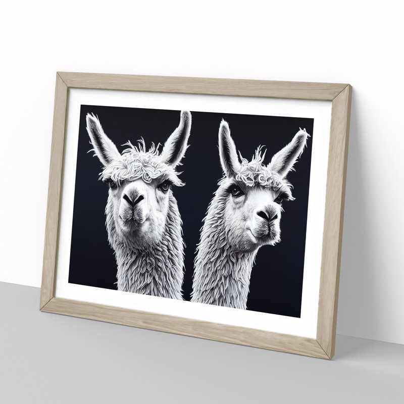 Two Llamas Vol.3 - Single Picture Frame Print, 34cm H x 46cm W x 2cm D, Oak