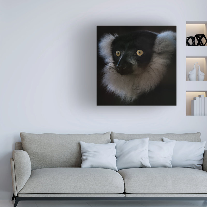 Rubio Nathalie Vari Canvas Art, 14" H x 14" W