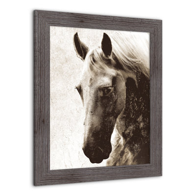 Cheval sépia, reproduction encadrée