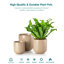 HDHPOT Ceramic Pot Planter-2100550267