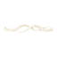 Polished White Kudu Horn Inner Pair-488189301