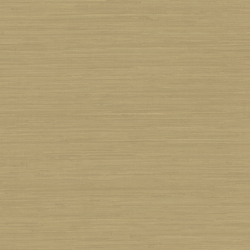 Rouleau de papier peint L 33 pi x l 20,5 po Styles, Brun