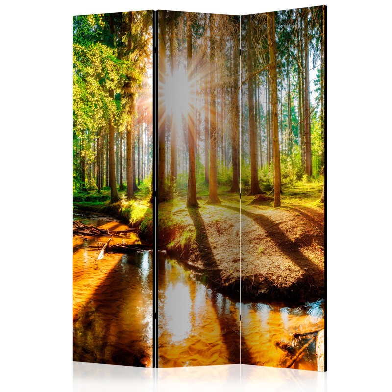 Lernig 172cm H Solid Wood Folding Room Divider, 3