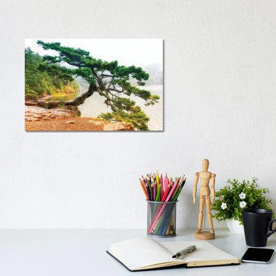 Orcas Pine B - Wrapped Canvas Print