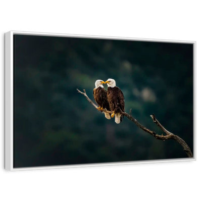 California Bald Eagles