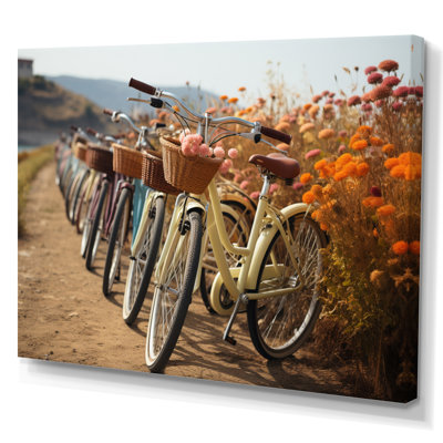 " Bicycle Harmonious Cycling Paths "