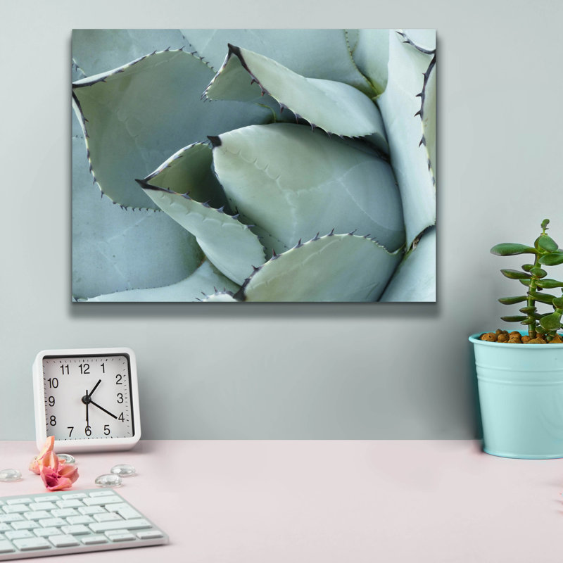 «Epave Graffiti» «Agave Détail 1» par Brittany Evans, art mural sur toile, 16 po x 12 po