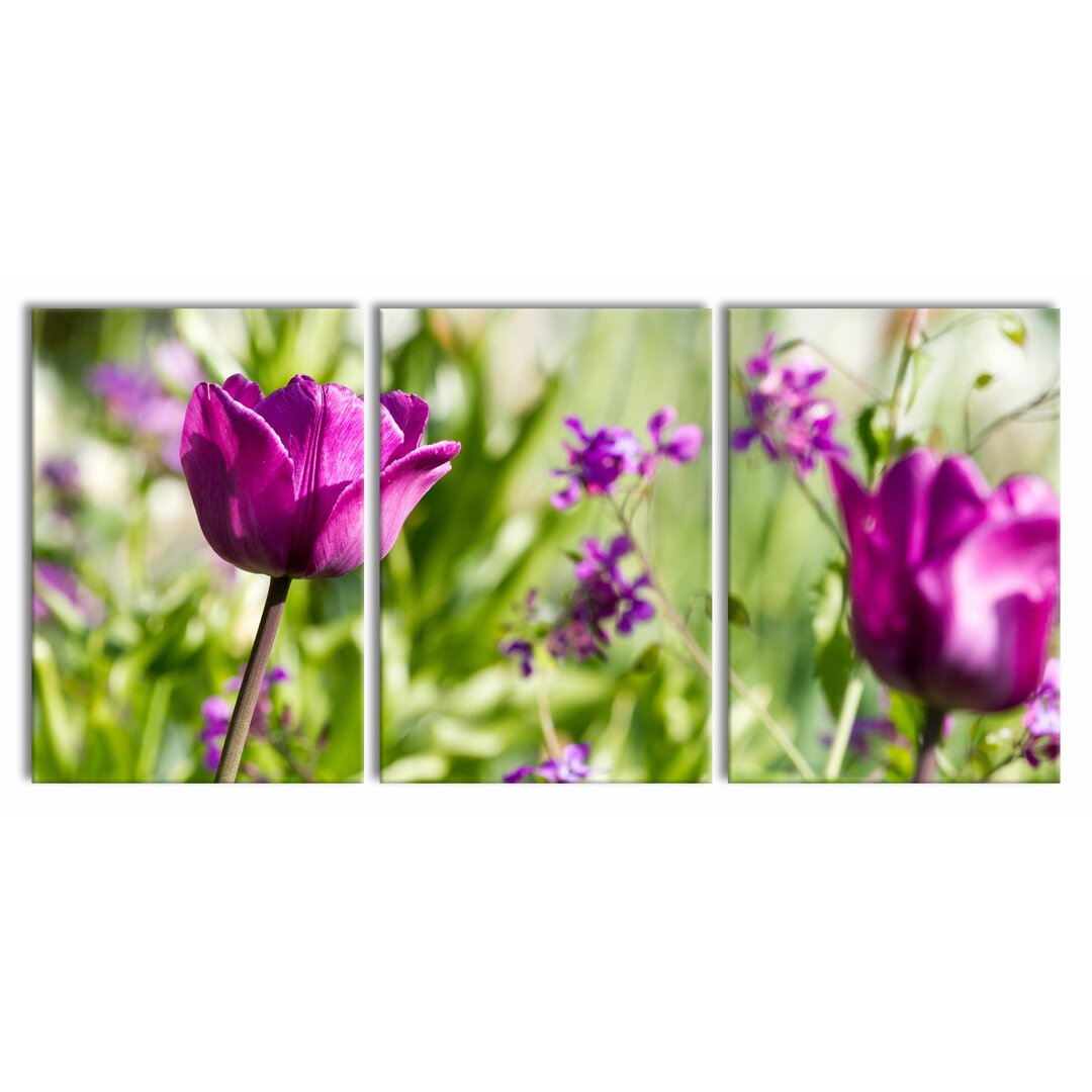 3-tlg. Leinwandbilder-Set Blumen im Sonnenschein