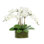 Orchids And Bamboo In A Clear Glass Oblong Vase