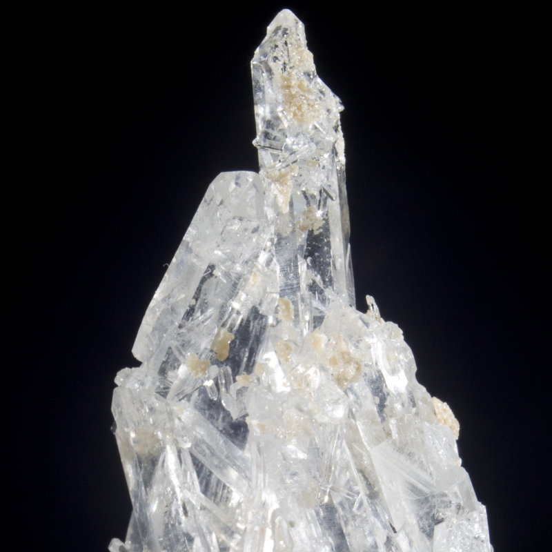 Cristal Alesana