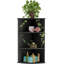 Corner Shelf-1329921240