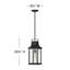 Grant 1 -Bulb 19.75" H Outdoor Hanging Lantern-1204307769