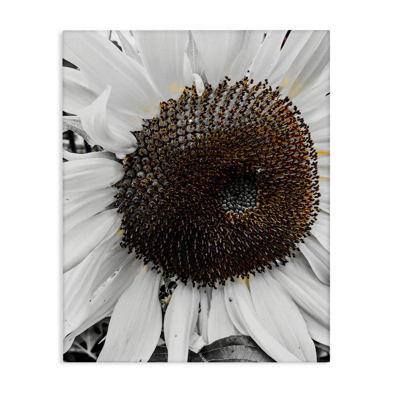 «Flower Pure White Petals», art mural sur toile par Heidi Bannon, H 48 po x l 36 po