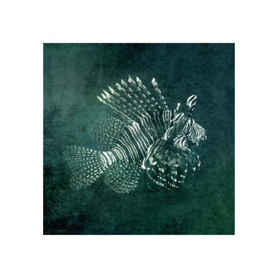 Marine Collection I Print