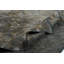 Rapture Area Rug in Gray/Brown-68861244