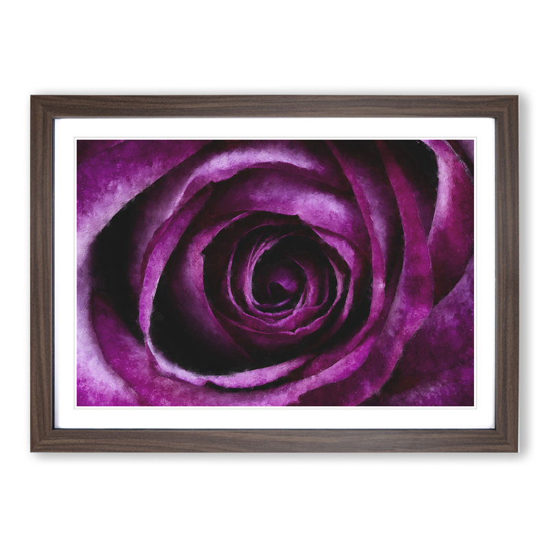 Purple Rose Flower Vol.2 - Framed Print, 27cm H x 36cm W x 2cm D, Walnut Framed