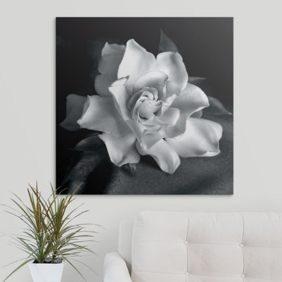 Debra Van Swearingen " Gardenia " Print