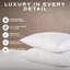 Snuggledown Scandinavian Hollowfibre Medium Support Back Sleeper Pillow