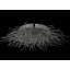 Medusa 120 - Light Flush Mount