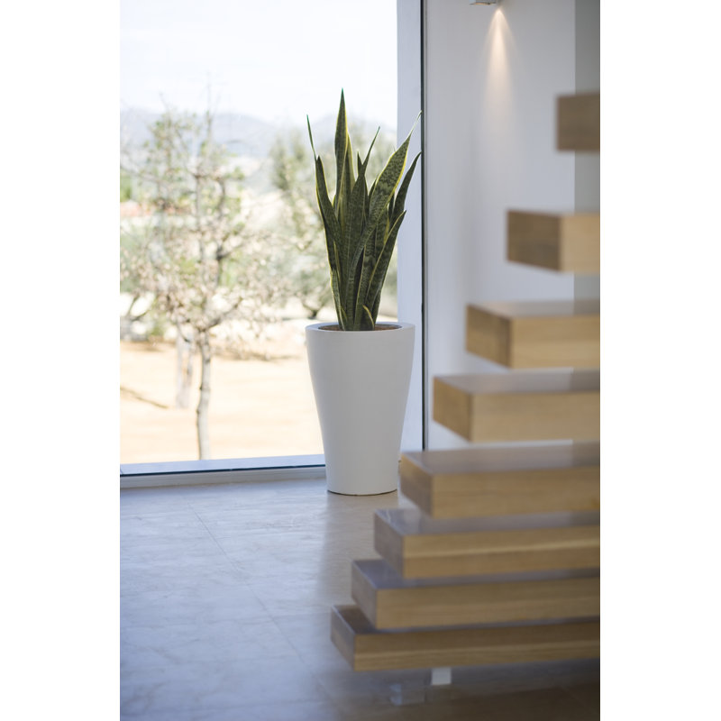 Pot de fleurs en résine Nano, H 11 po x l 5,5 po x P 5,5 po, Blanc