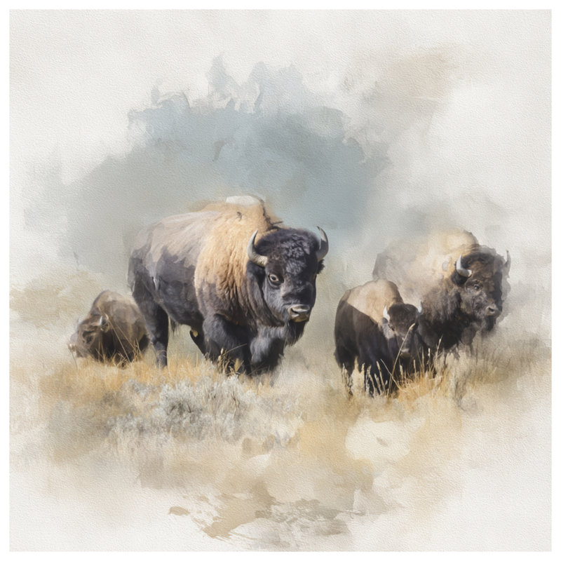 Tapis de bain Bison, L 34 po x L 21 po