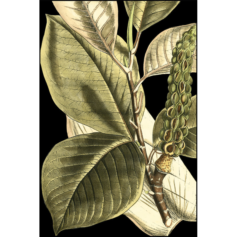 Tranquil Tropical Leaves II by Vision Studio - Wrapped Canvas Print, 30cm H x 20cm W x 3.8cm D