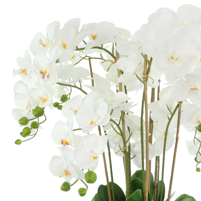 Orchid Arrangement in a Round Ceramic Vase