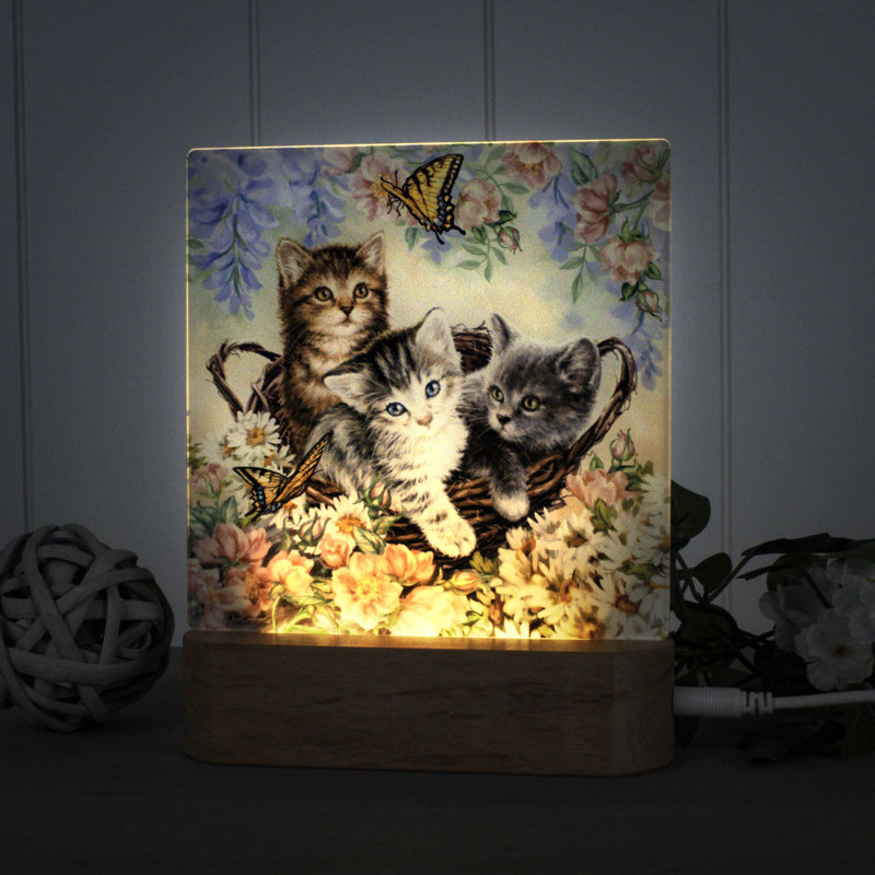 Chatons dans le jardin veilleuse