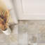 Americana 8.75 in. x 8.75 in. Glazed Porcelain Tile