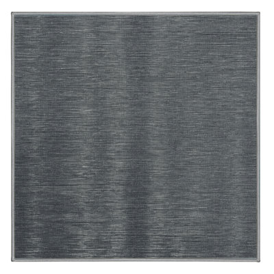 Machine Washable Solid Gray Area Rug