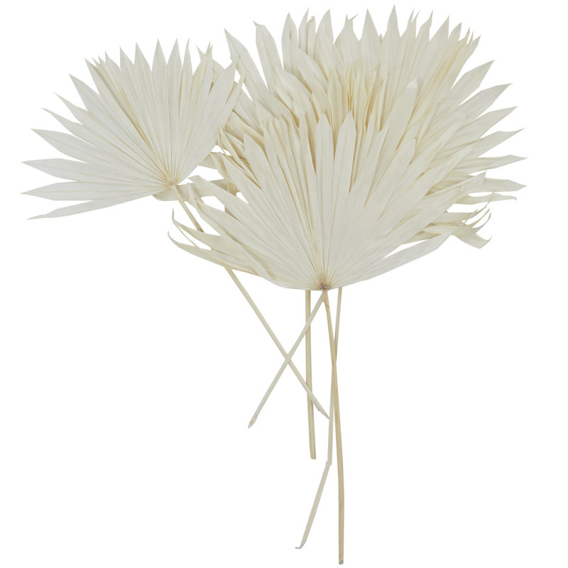 Landscape & Nature Vase Filler, 30.95" H X 19.15" W X 3.3" D, White