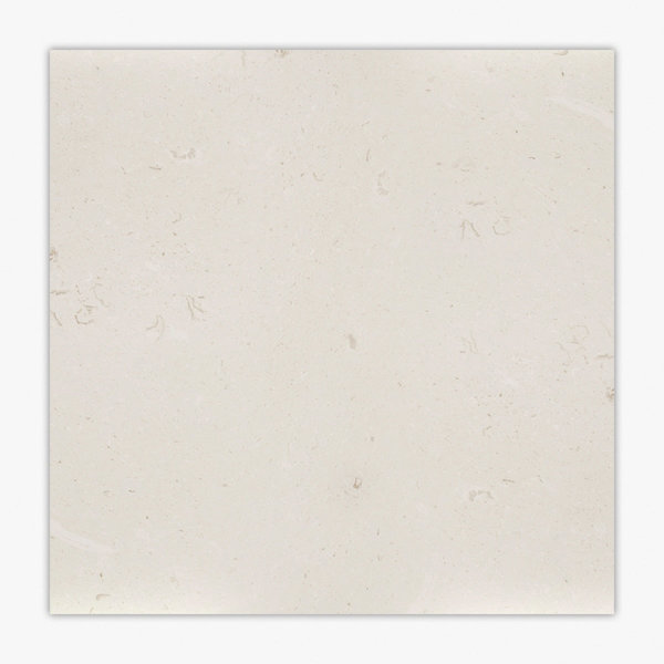 Symra Shell Honed 18x18 Limestone Tile
