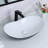 Davivy 24.5" L x 13.8" W White/Matte Black  Oval Vessel Bathroom Sink-93100316