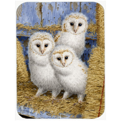 Barn Owl Wood Glass Cutting Board