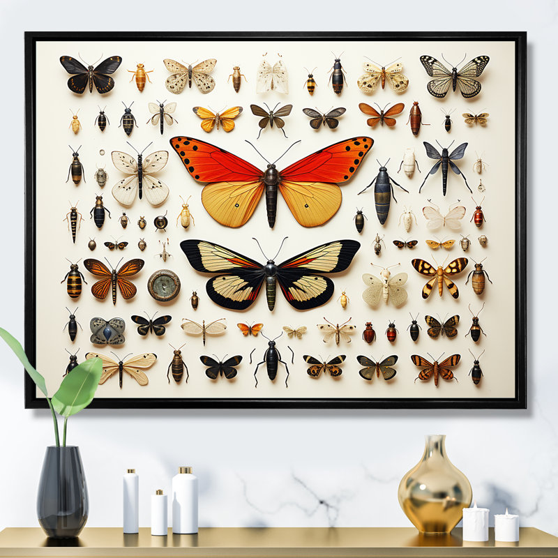 Insectes et insectes oranges - Insectes et insectes muraux, Cadre flottant noir, H 34 po x l 44 po x P 1,5 po