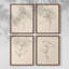 «Floral Contour Study I», ensemble de 4 encadrées-1085817107-1085817106