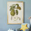 Vintage Pears IV - reproduction de cadre photo sur toile-1556079442-1556079444