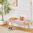 Rayfe Velvet Upholstered Bench