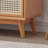 Multi Functional Rattan Shoe Storage Cabinet