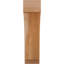 Attelle impériale du genou-31229279-29309856-31229257